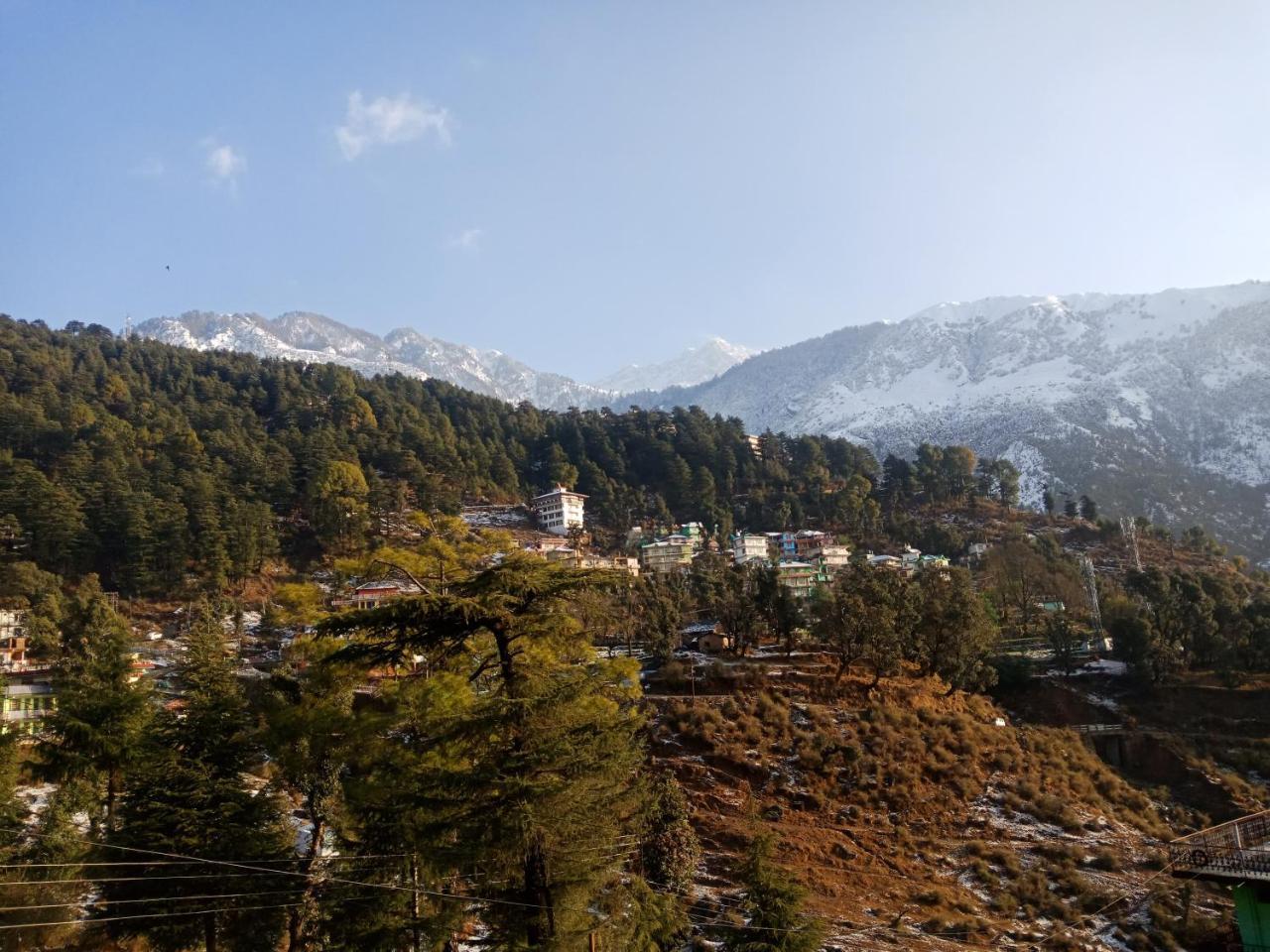 Hotel Pine Spring Dharamshala Ngoại thất bức ảnh