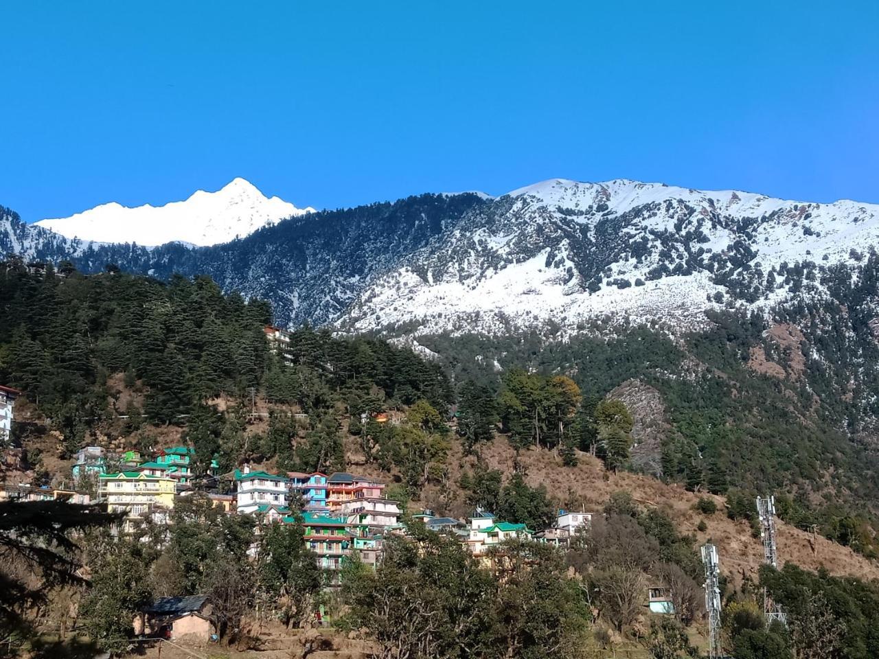 Hotel Pine Spring Dharamshala Ngoại thất bức ảnh