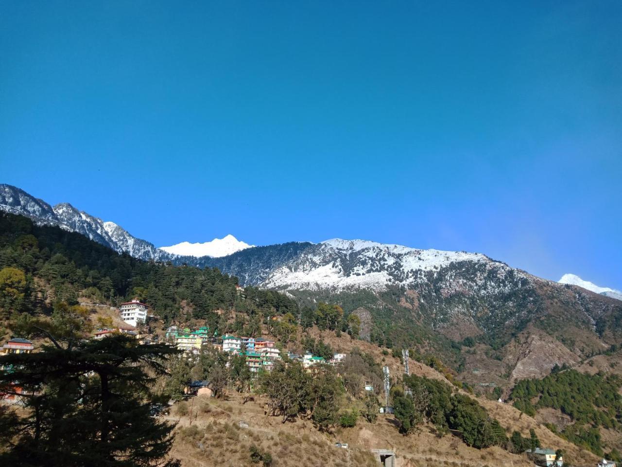 Hotel Pine Spring Dharamshala Ngoại thất bức ảnh