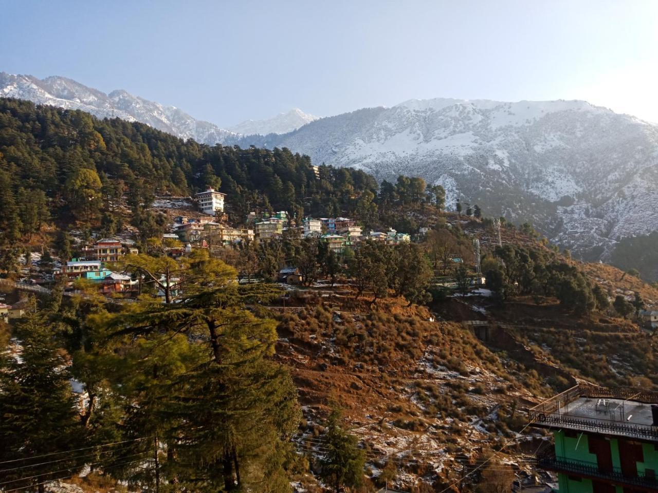 Hotel Pine Spring Dharamshala Ngoại thất bức ảnh