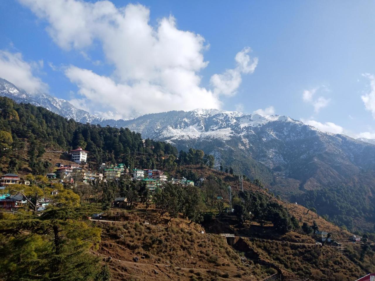 Hotel Pine Spring Dharamshala Ngoại thất bức ảnh