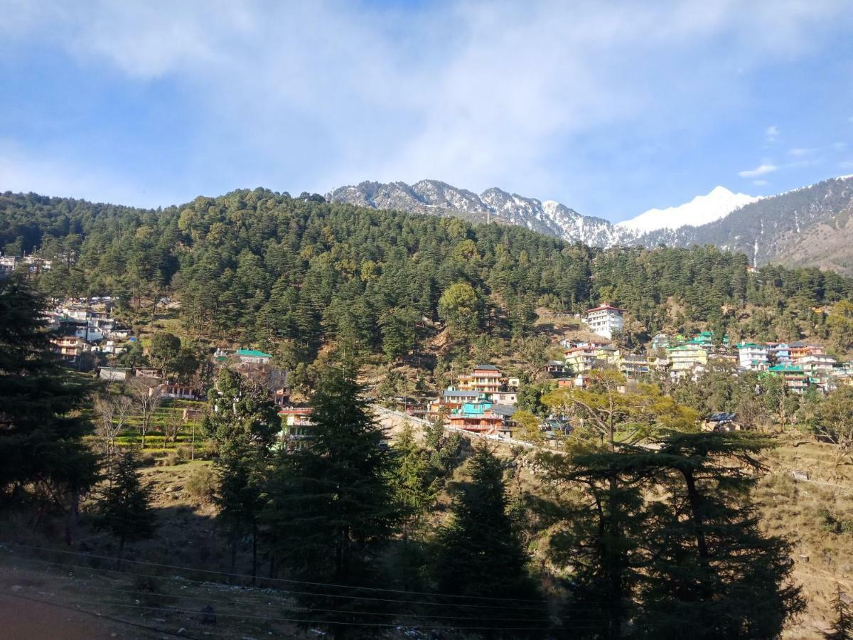 Hotel Pine Spring Dharamshala Ngoại thất bức ảnh