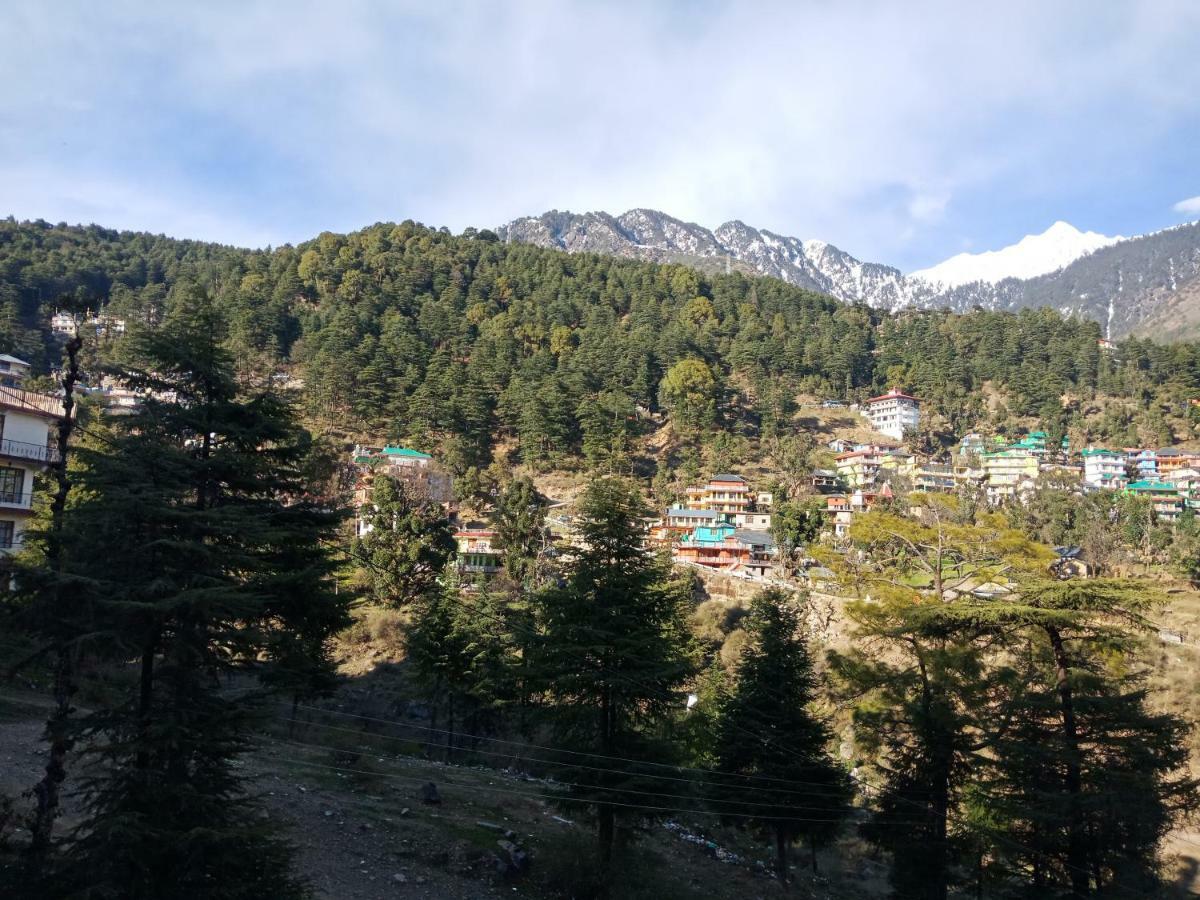 Hotel Pine Spring Dharamshala Ngoại thất bức ảnh