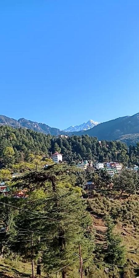 Hotel Pine Spring Dharamshala Ngoại thất bức ảnh